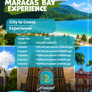 PORT OF SPAIN TO MARACAS BAY EXPERIENCE