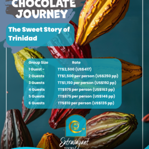 BEAN TO CHOCOLATE EXPERIENCE