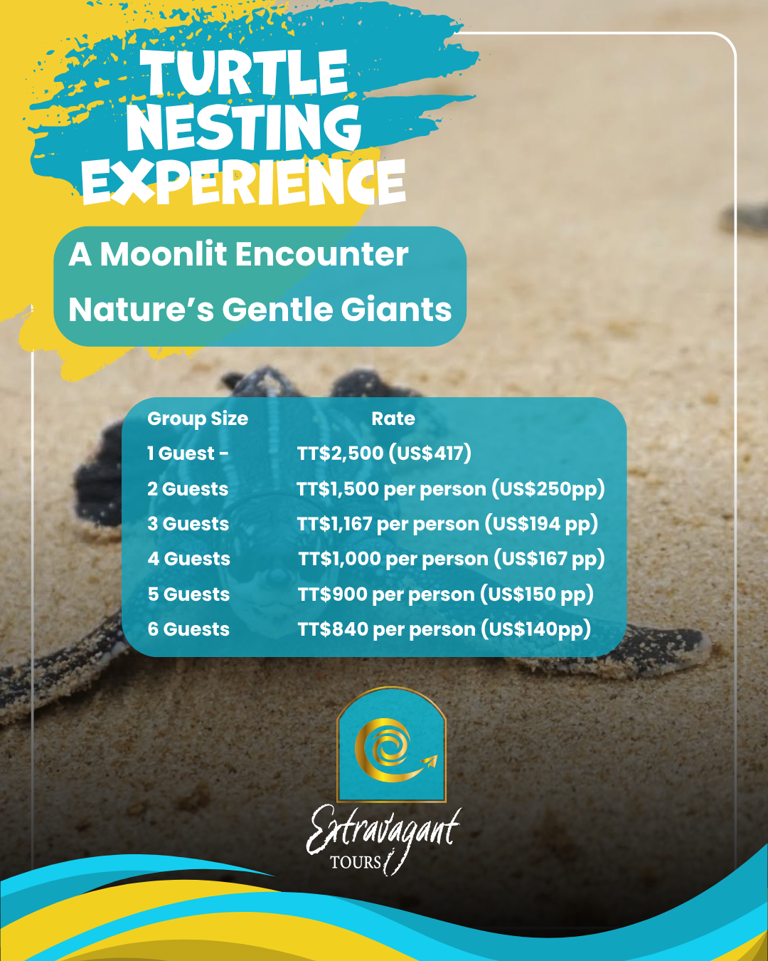 TURTLE NESTING EXPERIENCE