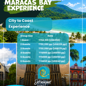PORT OF SPAIN TO MARACAS BAY EXPERIENCE