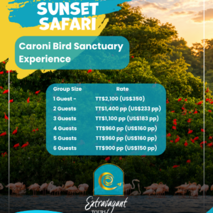 SCARLET IBIS SUNSET SAFARI