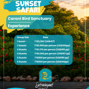 SCARLET IBIS SUNSET SAFARI